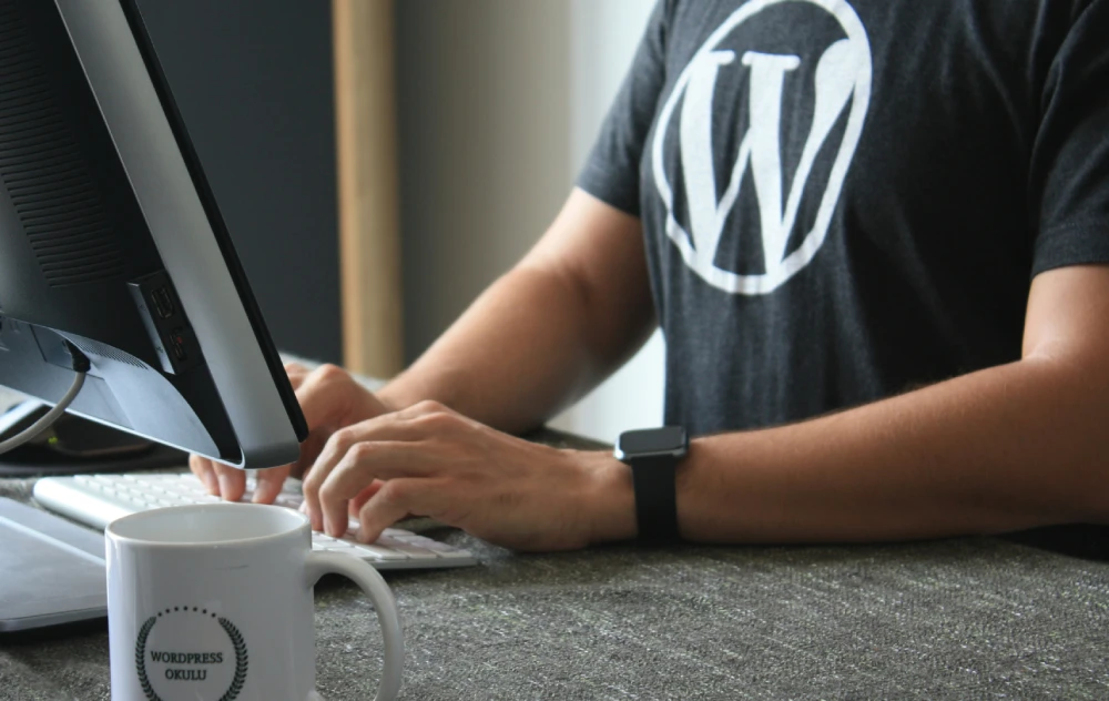 wordpress development